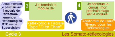 reflexologie faciale, dien chan